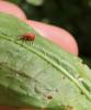 357663 – Photo : Armelle Bass – France (22)